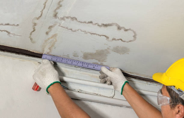 Reliable Sewage Cleanup contractor in Belleville, NJ by Water Damage Irwin